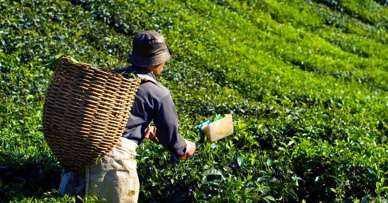 Freepik/rawpixel.com